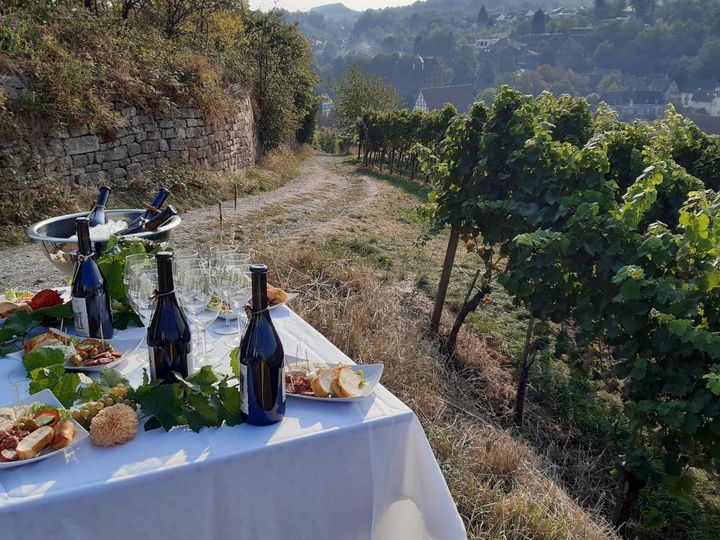 Kloster Maulbronn, Weinberge mit Picknick 
